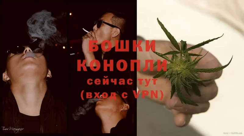 Бошки марихуана SATIVA & INDICA  Ужур 